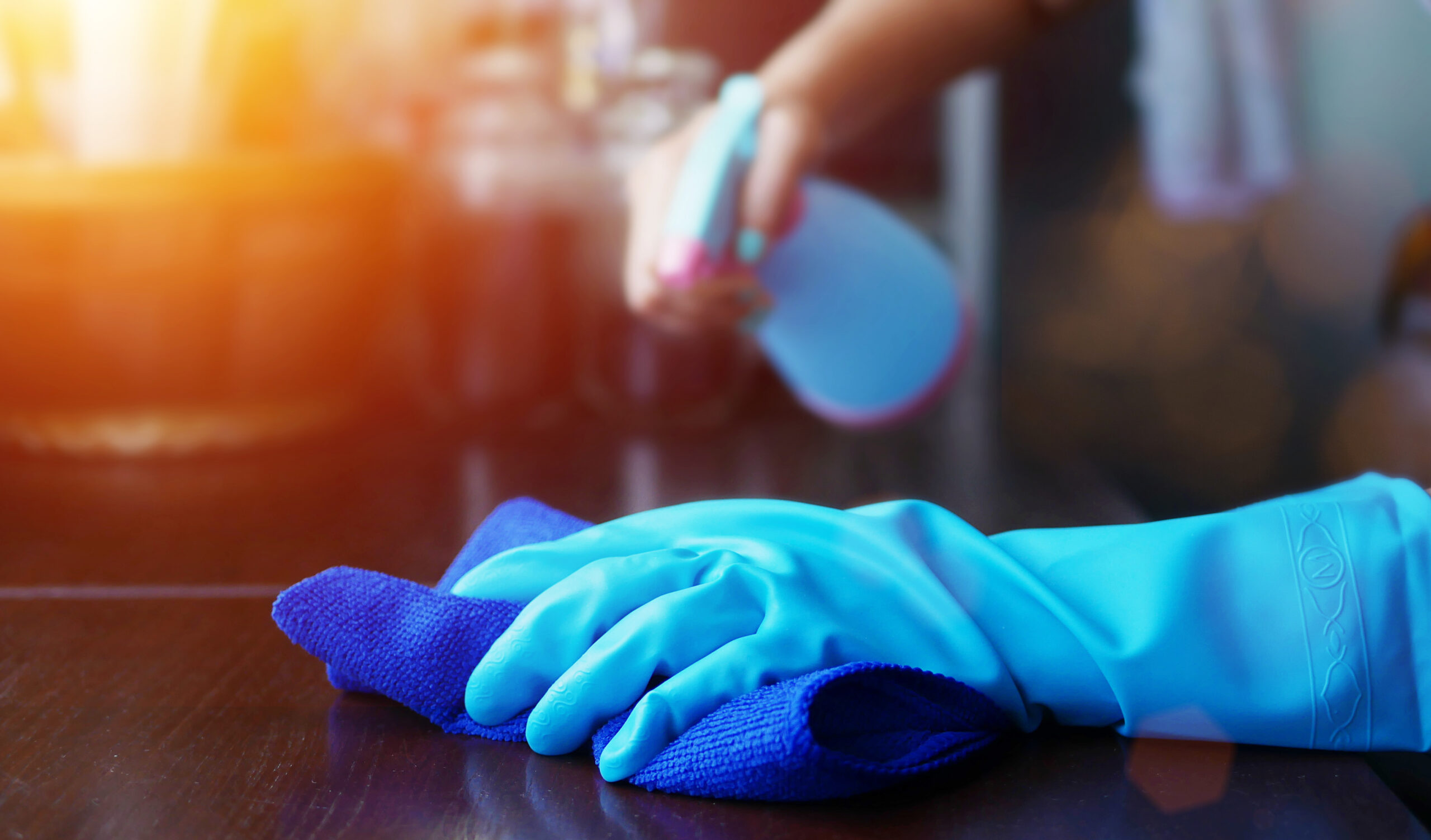 Hand,In,Blue,Rubber,Glove,Holding,Blue,Microfiber,Cleaning,Cloth